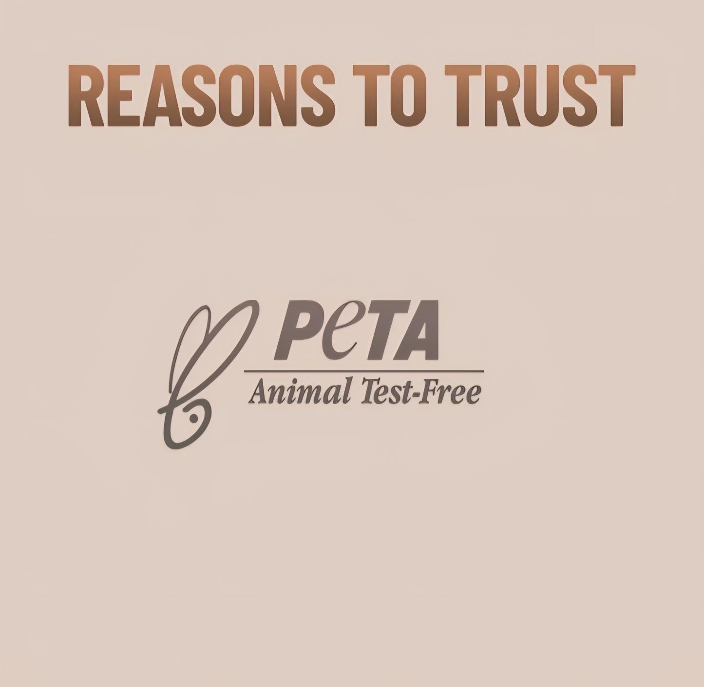 Professional Eye and face makeup brushes set.