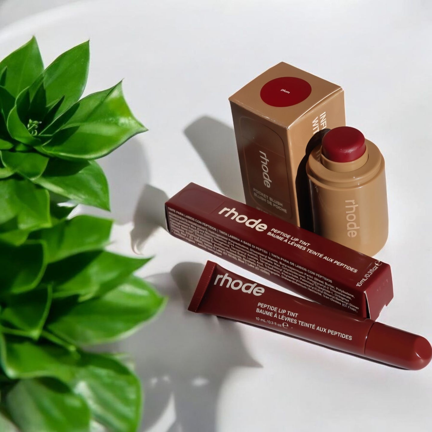 Rhode Lip Tint